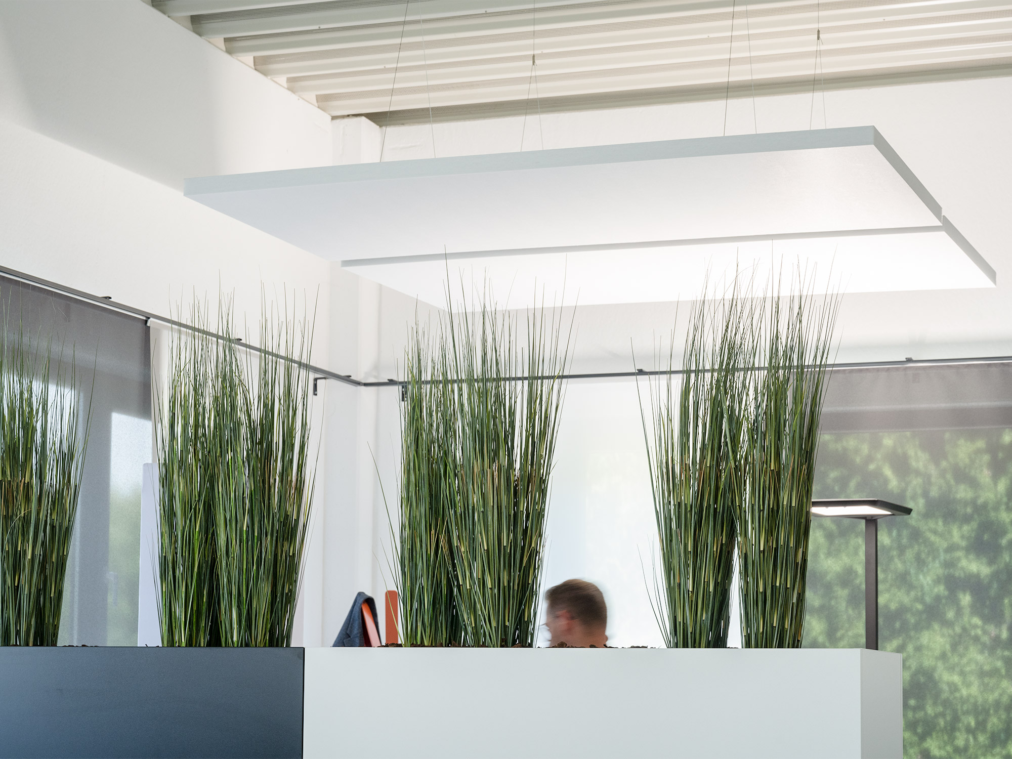 B&uuml;roeinrichter &ndash; Akustikbilder und Schallabsorber von SCHALLSAUGER&reg;